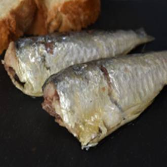 Sardina picante del xeito en aceite de oliva